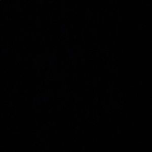 Meet your Posher, Connor